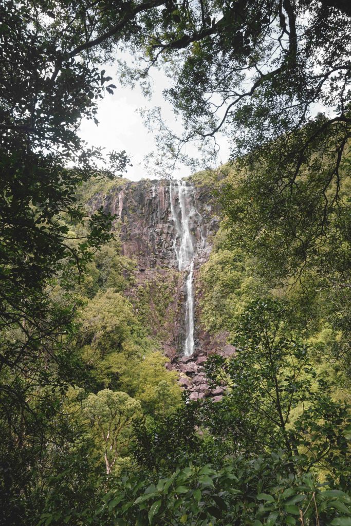 Wasserfall Coromandel