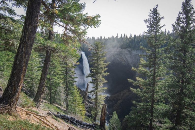 Ausblick Helmcken Falls