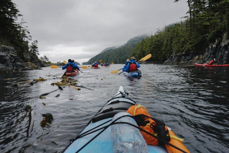 Kajaken Johnstone Strait