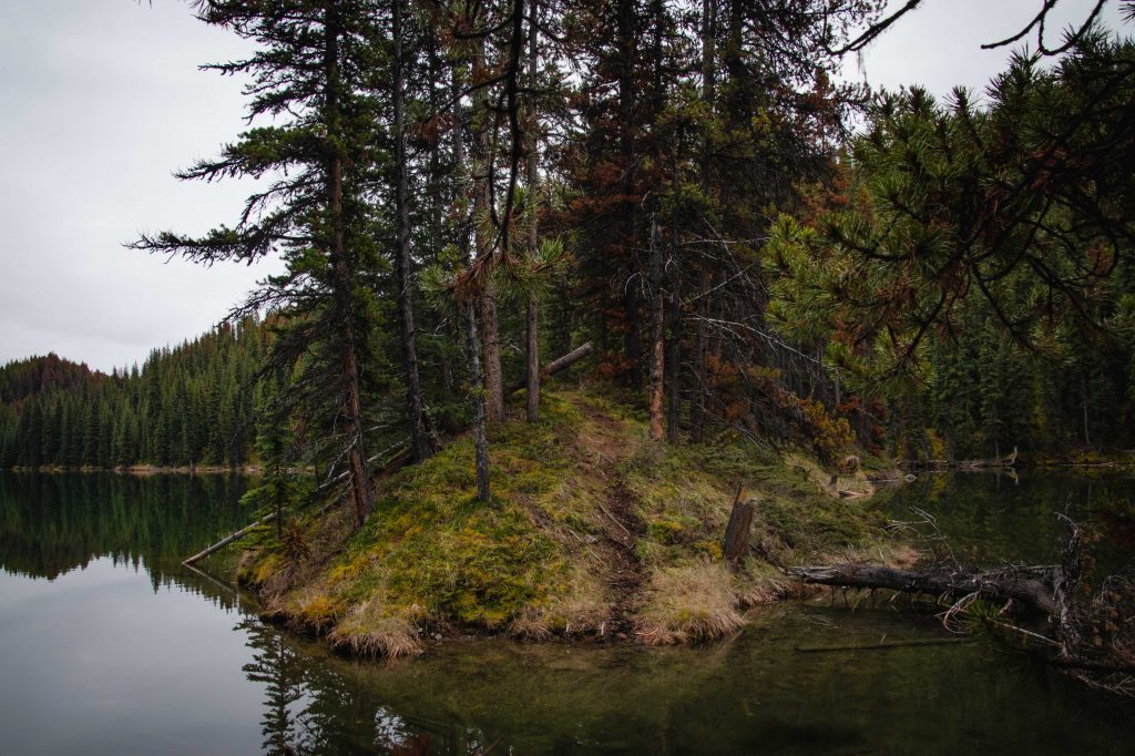 moose lake trail