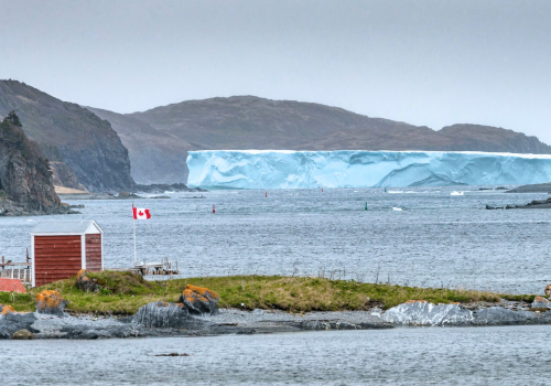 Neufundland Eisberge und Wale