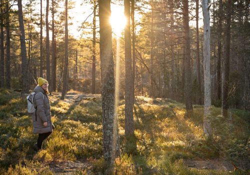 Highlights Schweden Reiseplanung Nationalparks erkunden