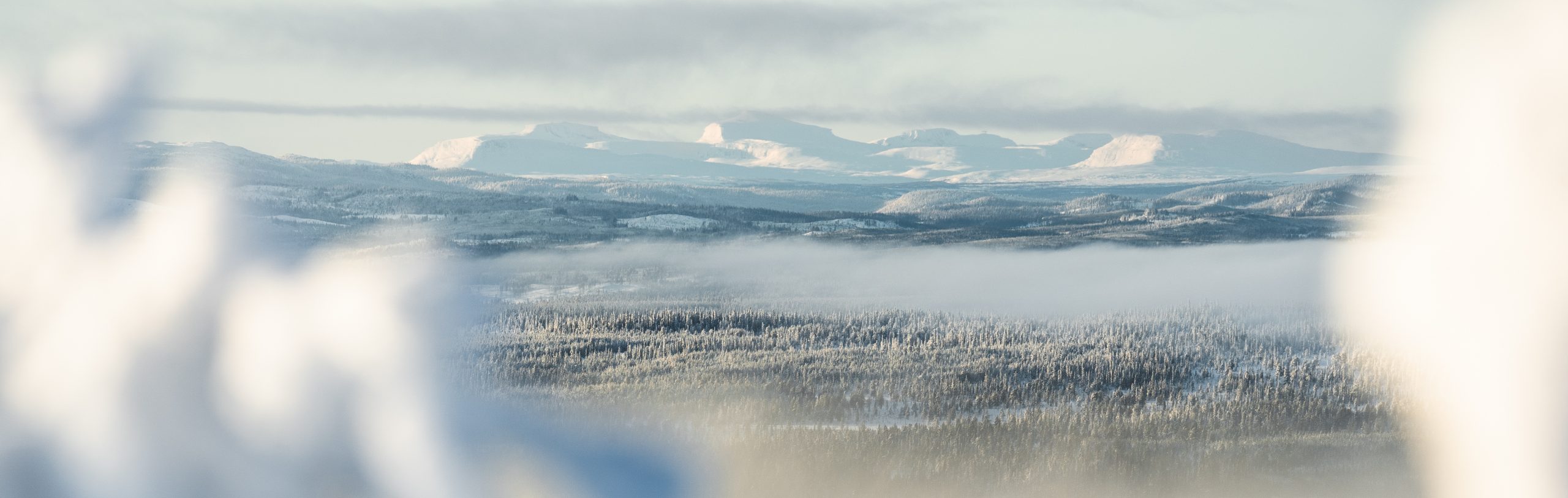 Schwedisch Lappland im Winter - Fjäll Panorama