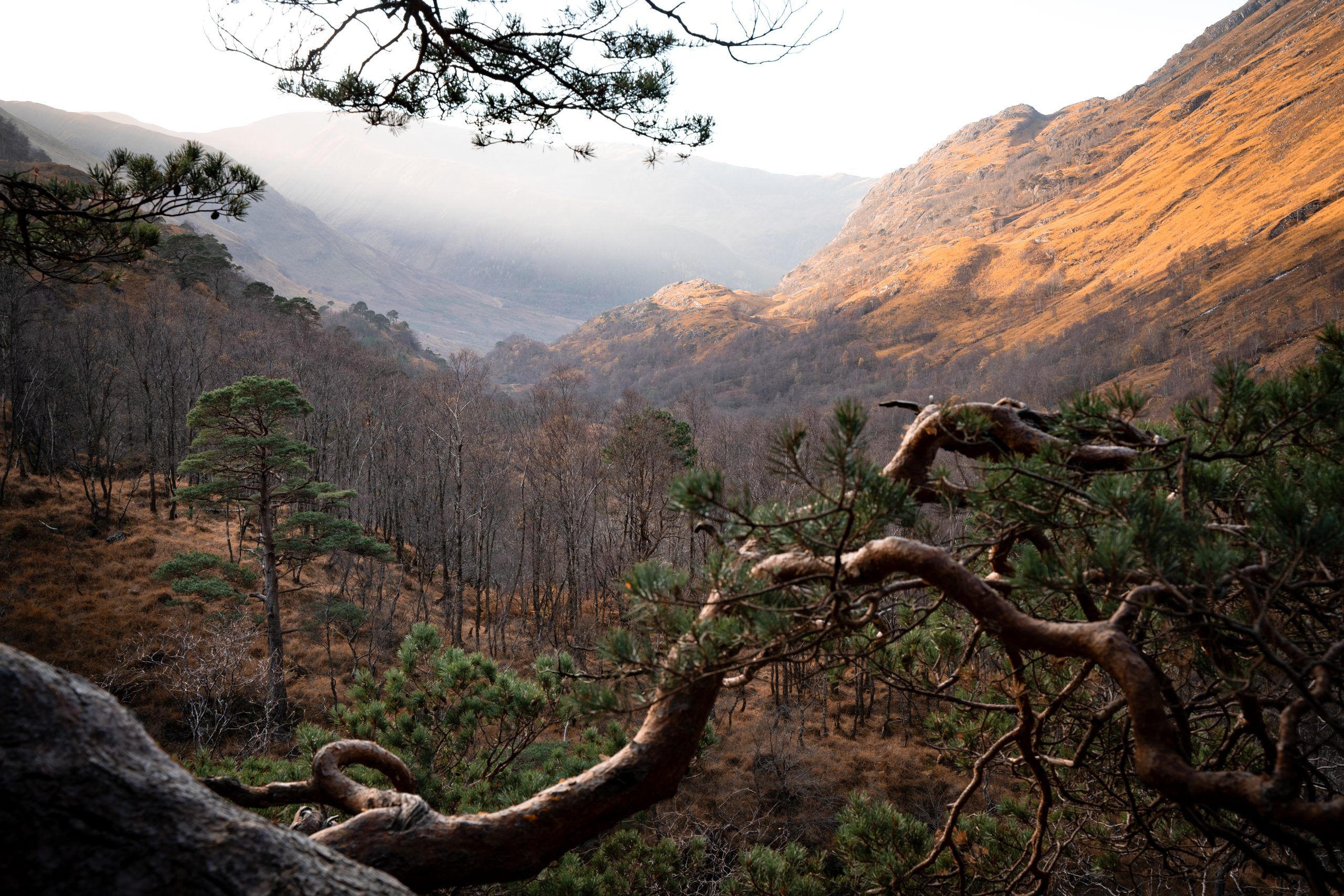 Glen Nevis & Steall Falls
