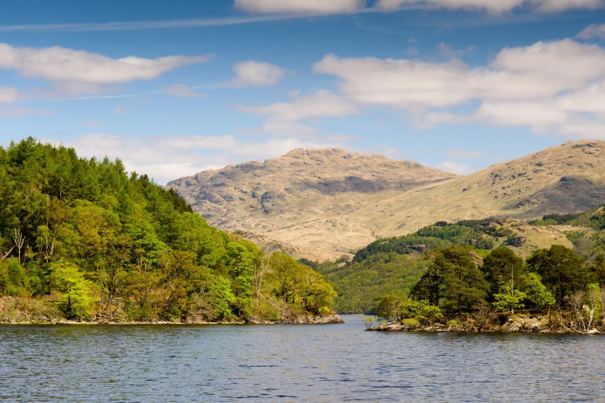 Ausblick vom Ufer des Loch Lomond Schottland Roadtrip Camper Rundreise