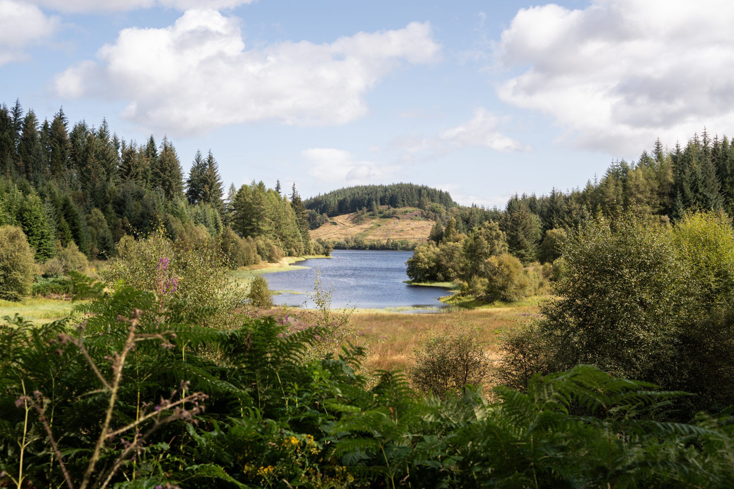 Three Lochs Forest Drive Loch Lomond Trossachs Schottland