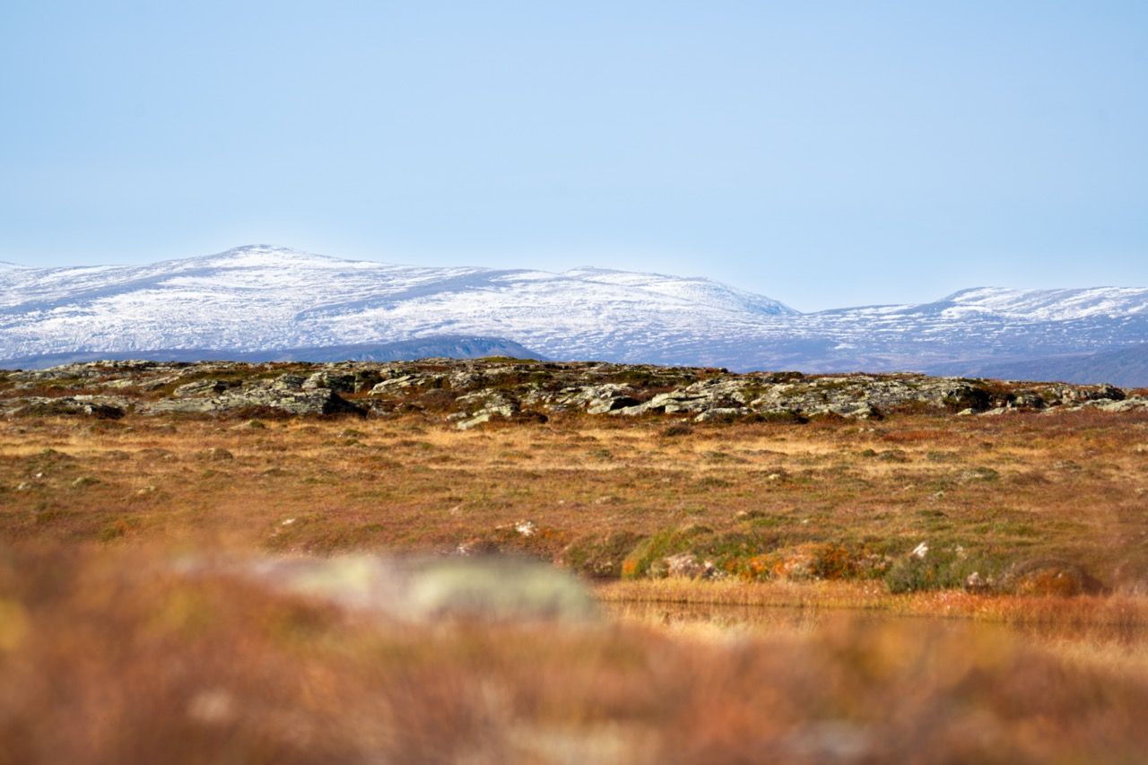 Fjällandschaft Flatruet
