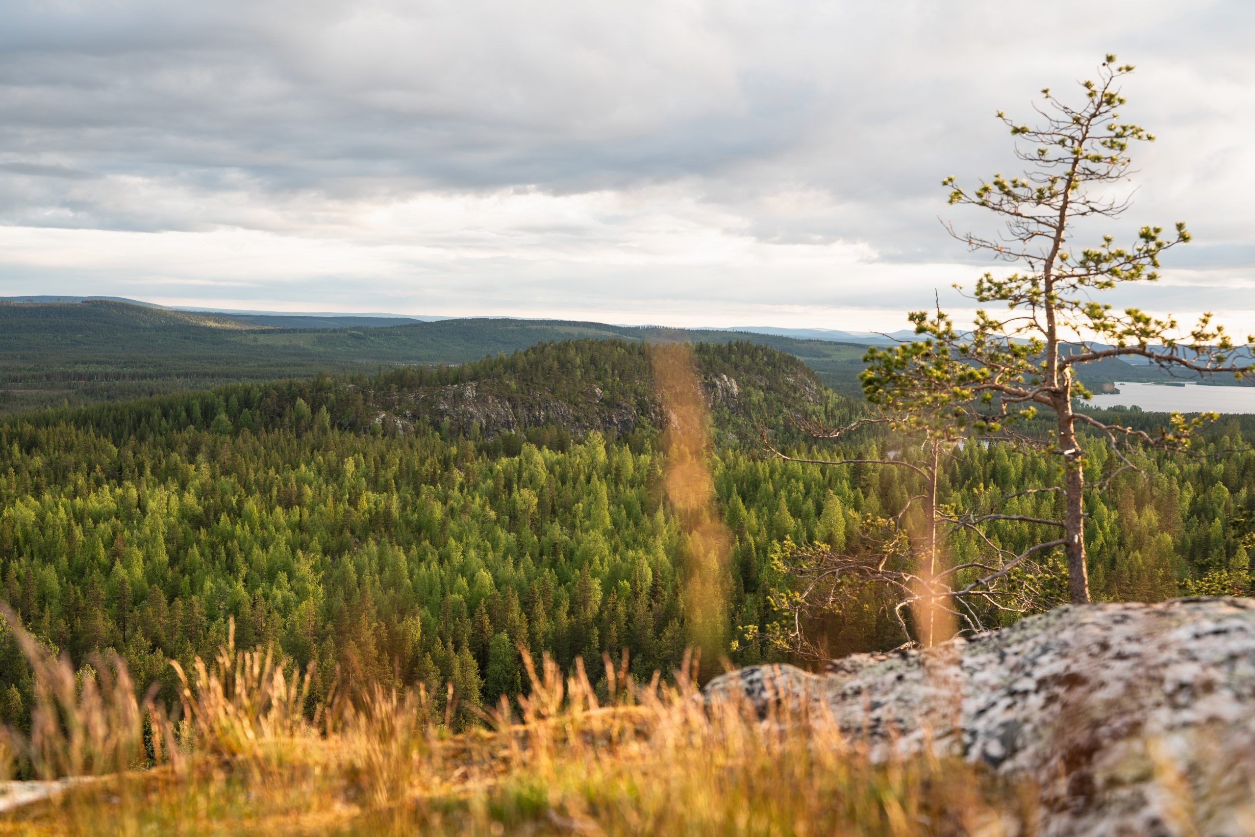 Skabram Wanderung bei Jokkmokk