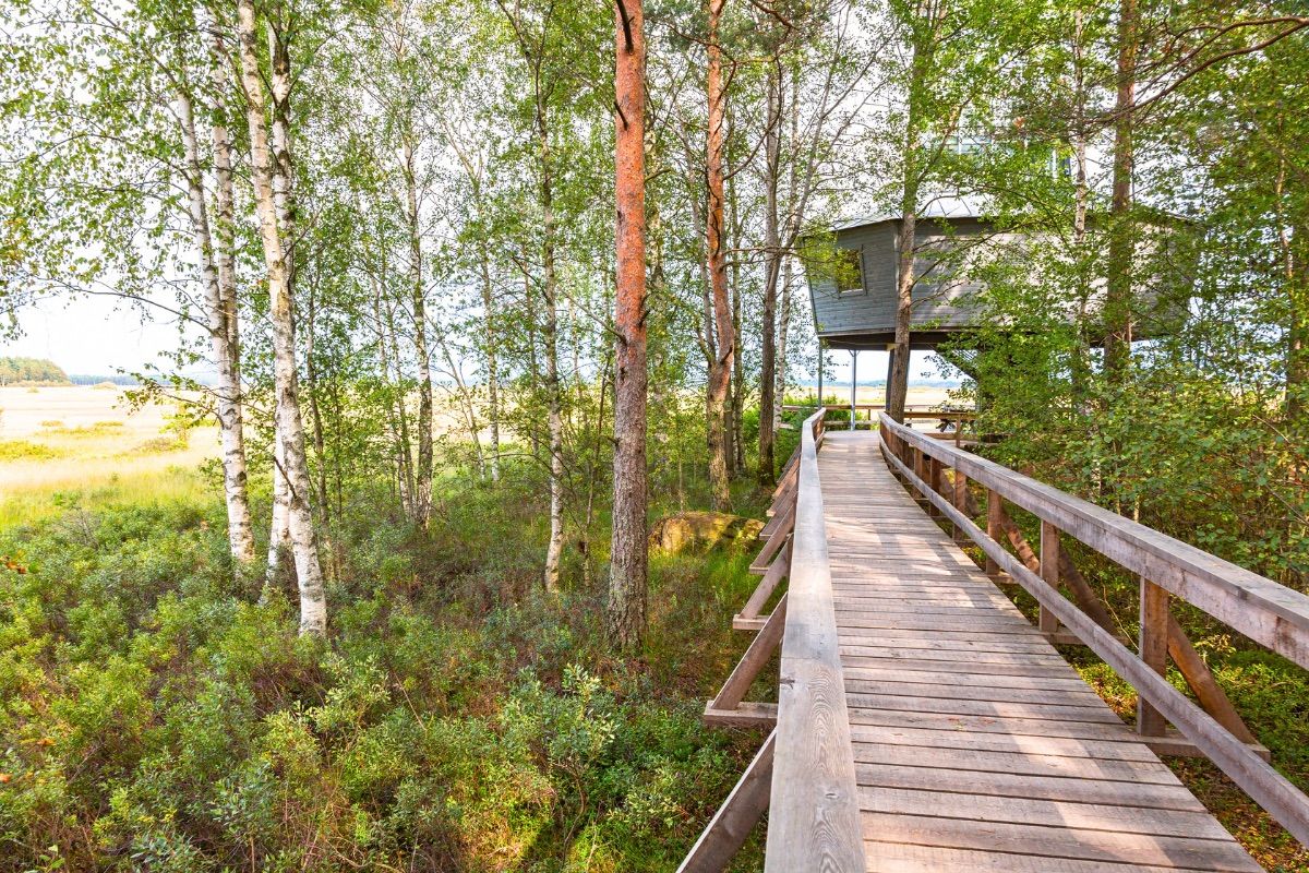 Store Mosse Nationalpark Südschweden