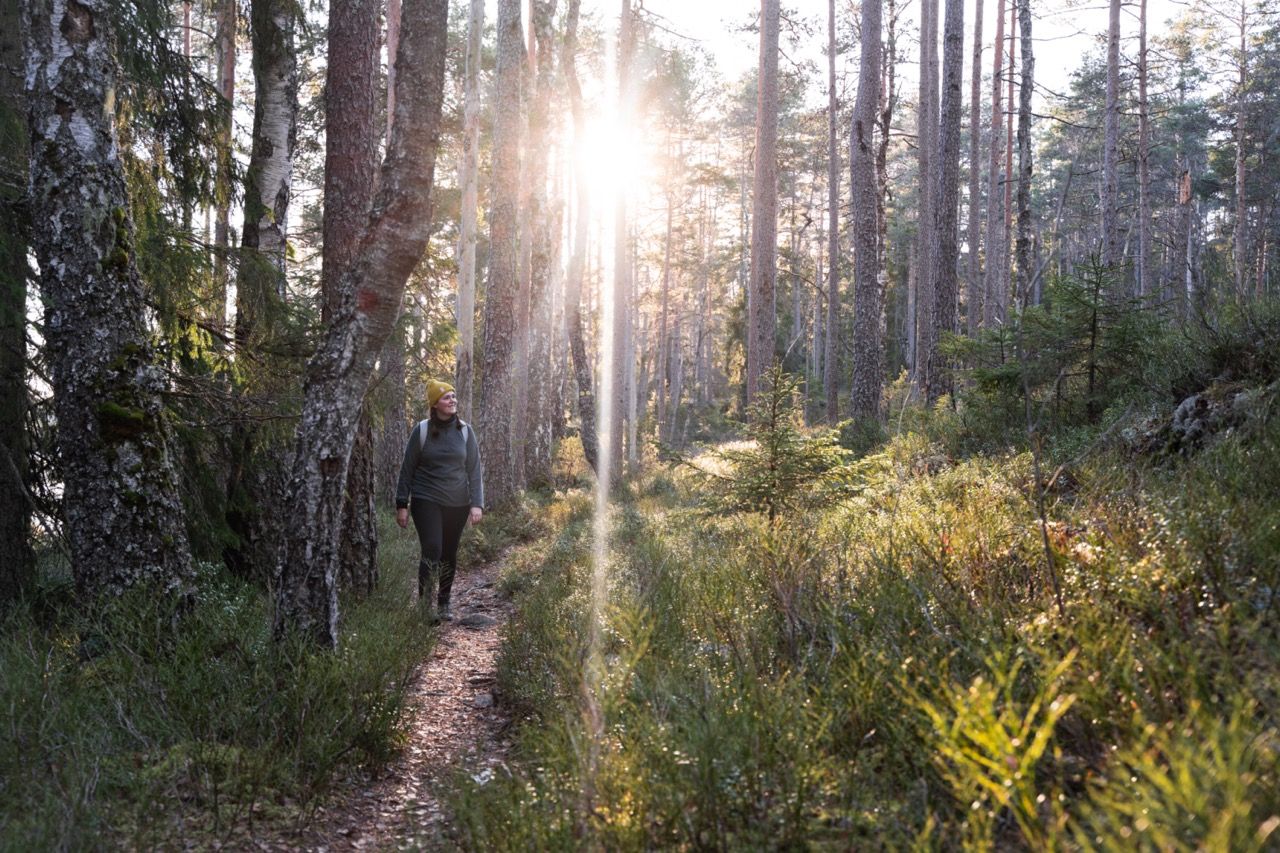 Wanderung Tresticklands Nationalpark Südschweden 2