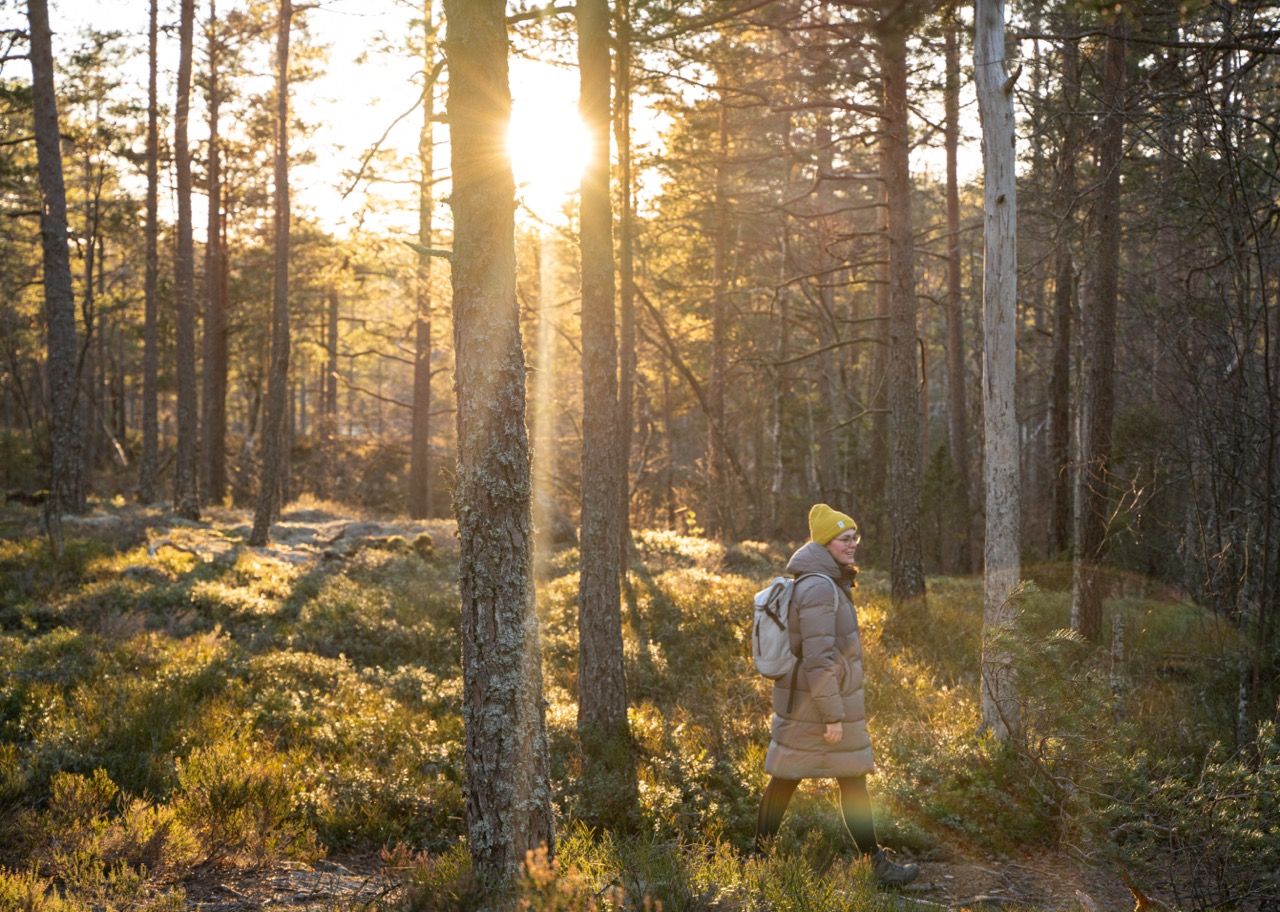 Wanderung Tresticklands Nationalpark Südschweden 2
