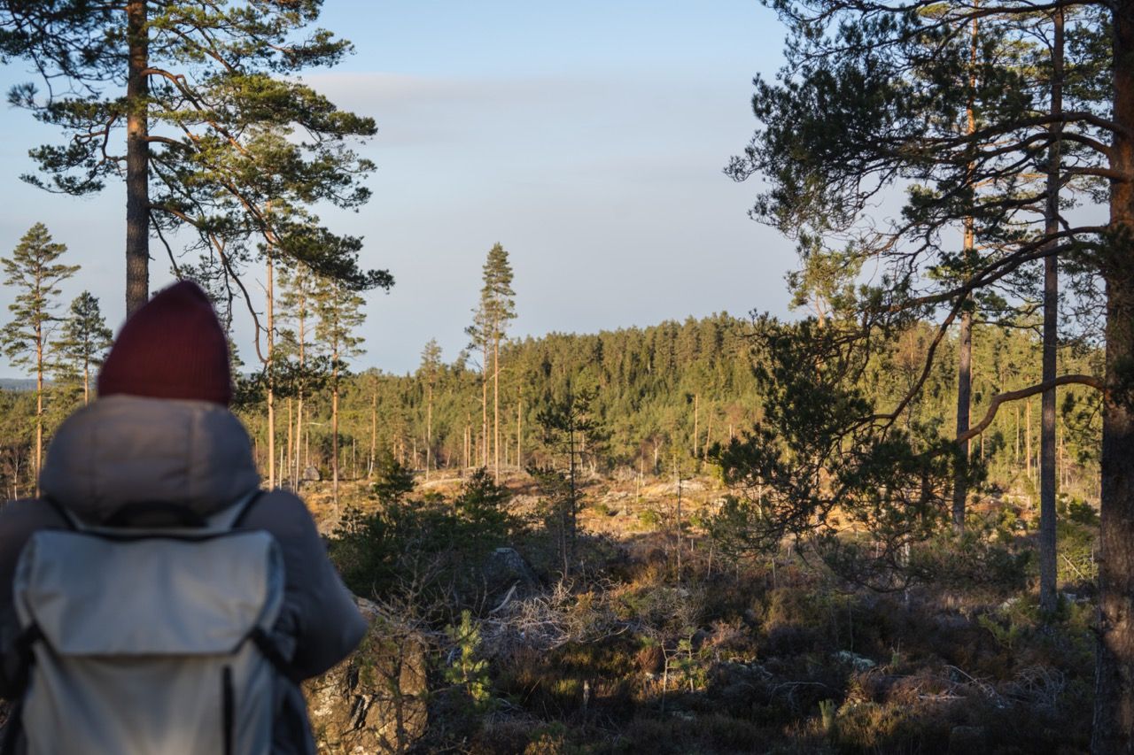 Wanderung Tresticklands Nationalpark Südschweden 2