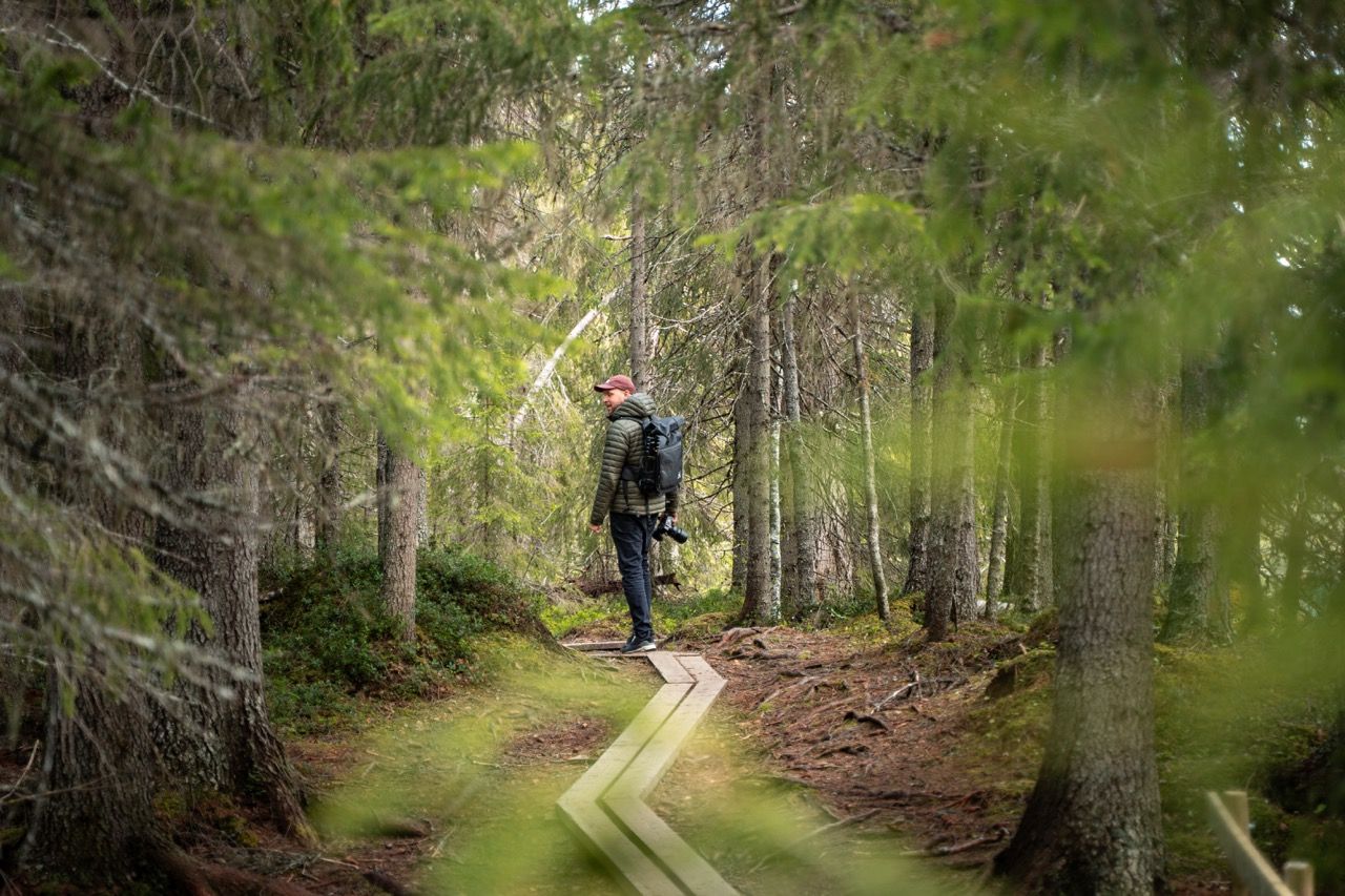 Vildmarksvägen Wasserfall Wanderung Panoramastraße Schweden Rundreise Route2