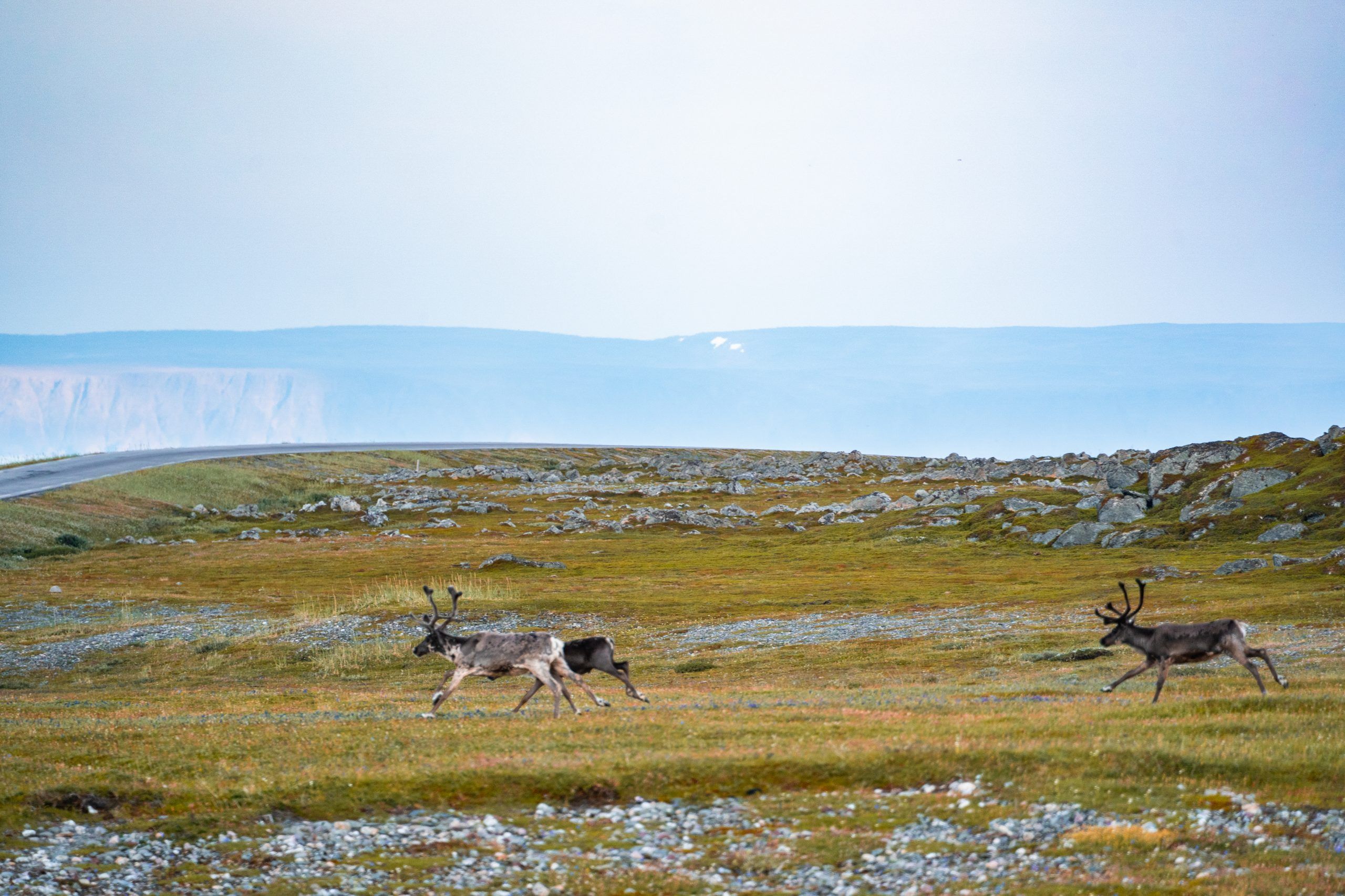 Kjølnes Fyr Leuchtturm Varanger Halbinsel Rundreise Rute Nord Norwegen