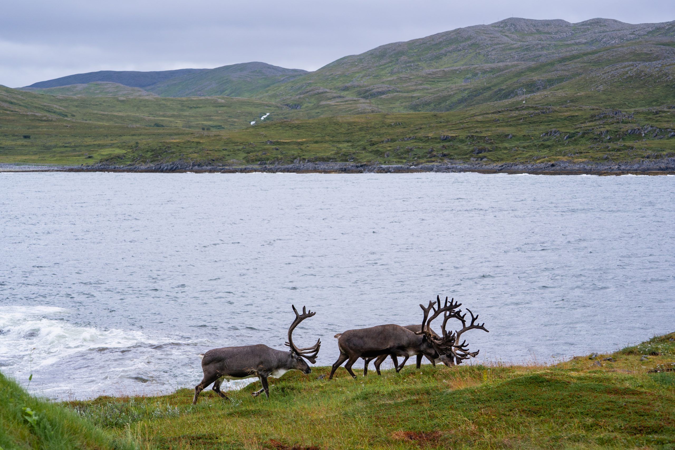 Mehamn Campingplatz Nordkyn Nordnorwegen Rundreise Route