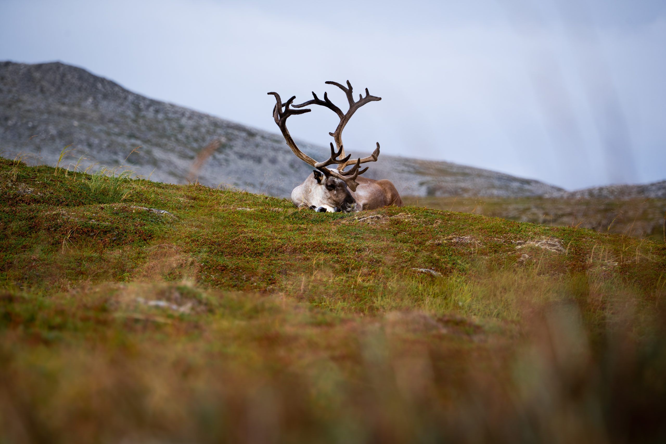 Mehamn Campingplatz Nordkyn Nordnorwegen Rundreise Route