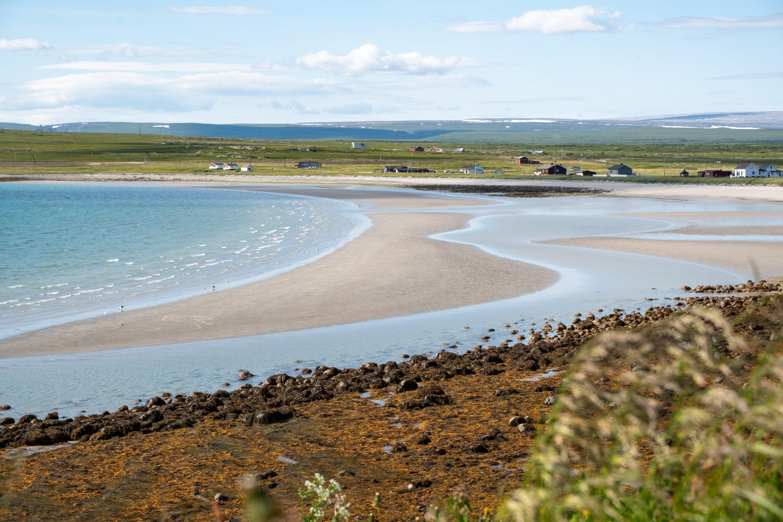 Ekkeroy Vogelfelsen Varanger Nord Norwegen Rundreise Route1