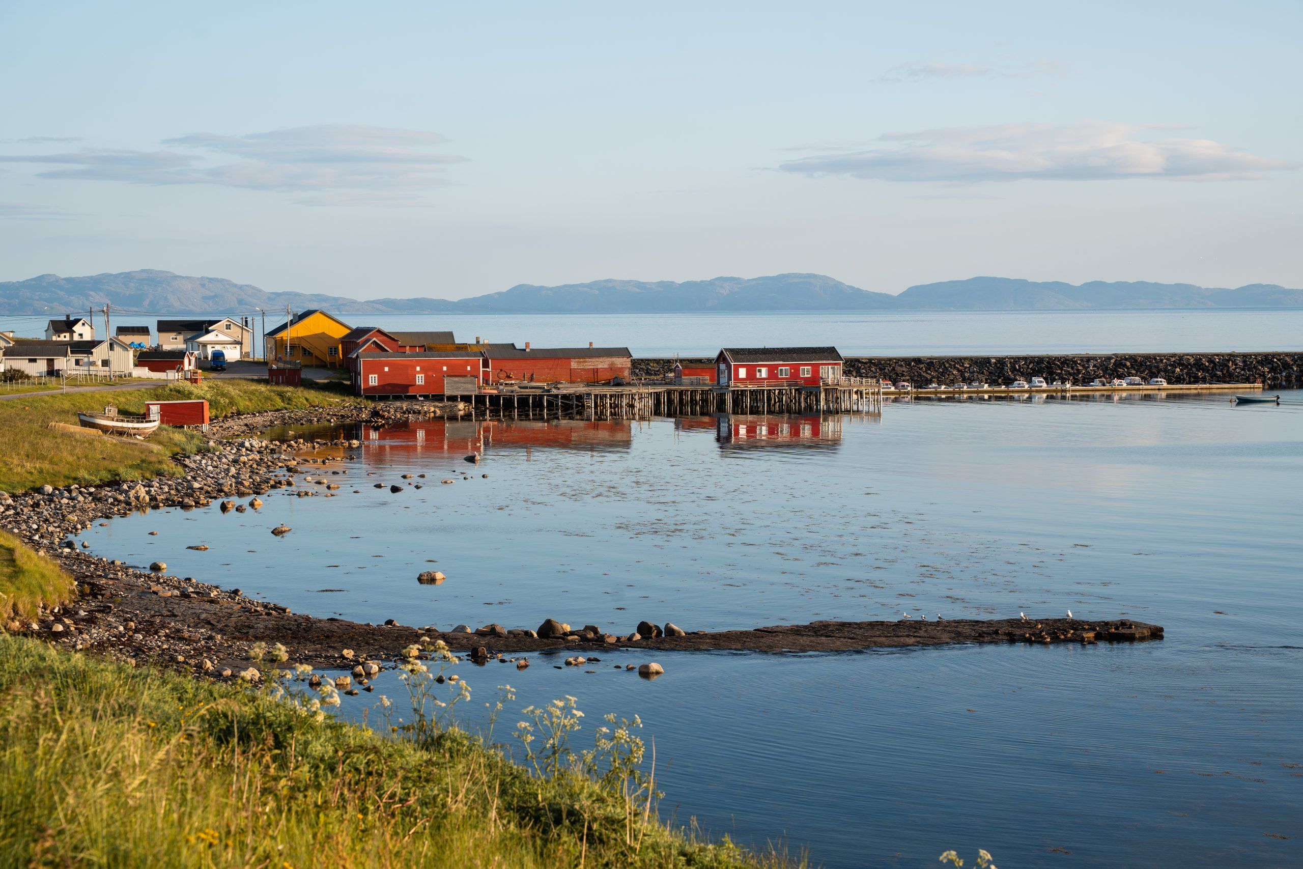 Ekkeroy Vogelfelsen Varanger Nord Norwegen Rundreise Route4