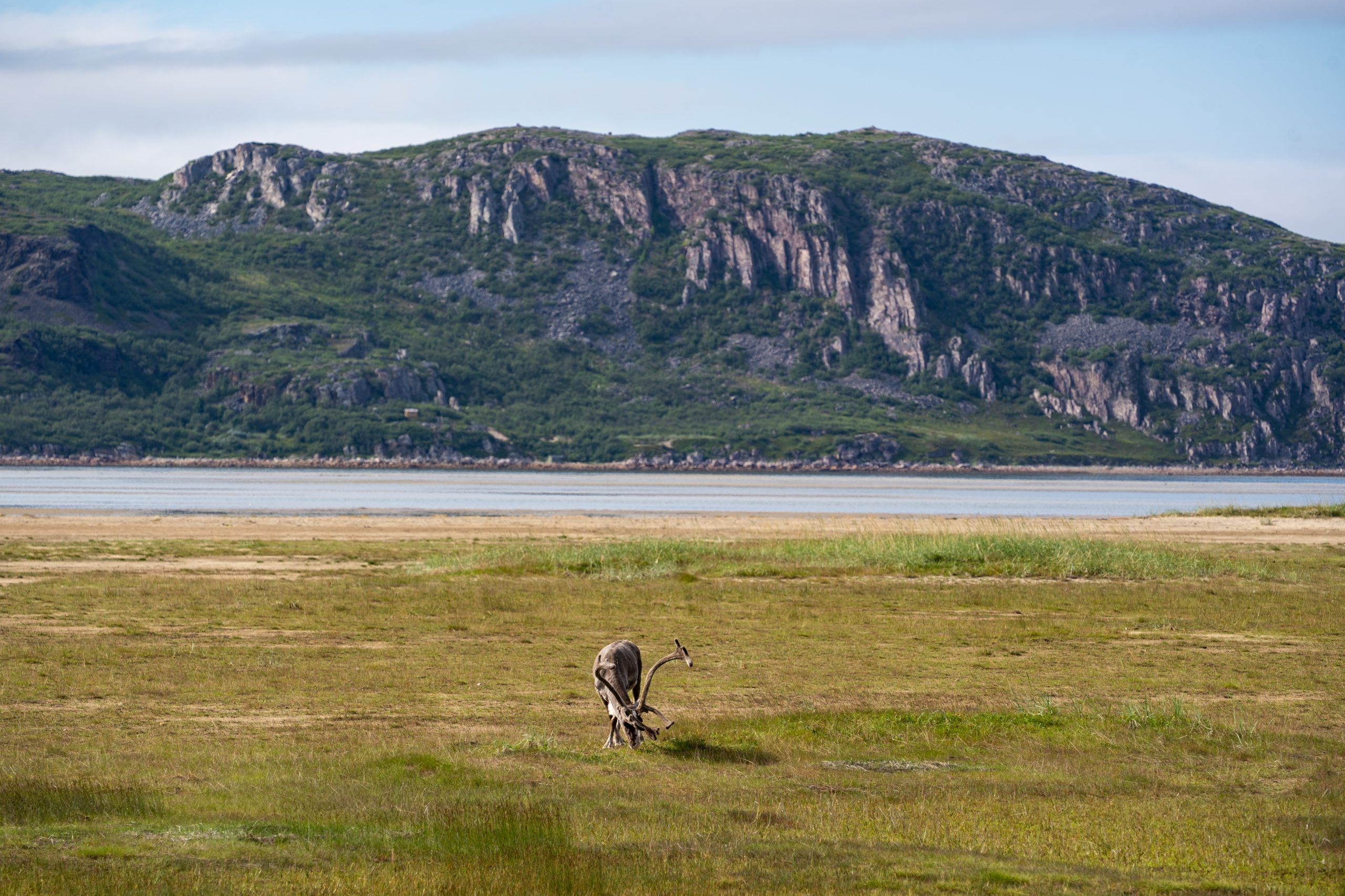 Høyholmen im Tanafjord, Varanger