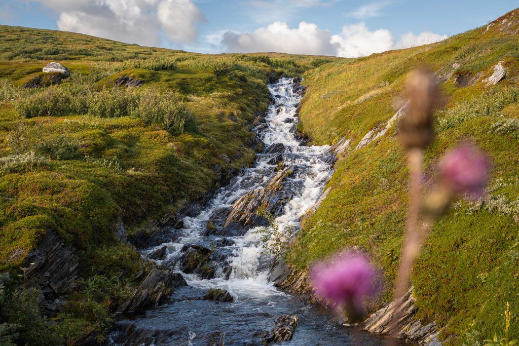 Kjøllefjord & Dyfjord Nordkyn Norwegen Rundreise Arktis Eismeer