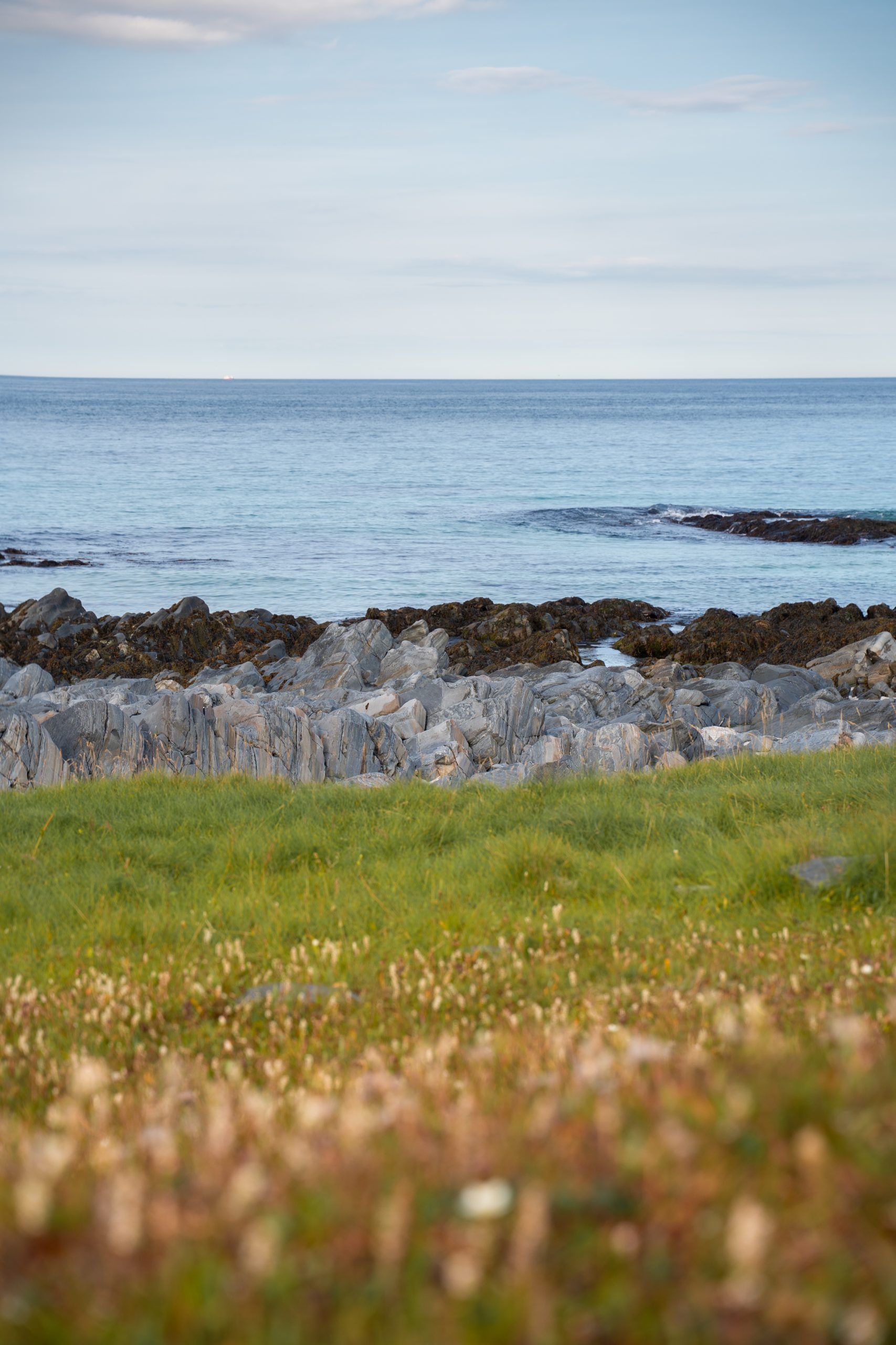 Slettnes Fyr und Naturreservat auf Nordkyn Norwegen Arktis Rundreise zwei Wochen Rentiere Nordkap