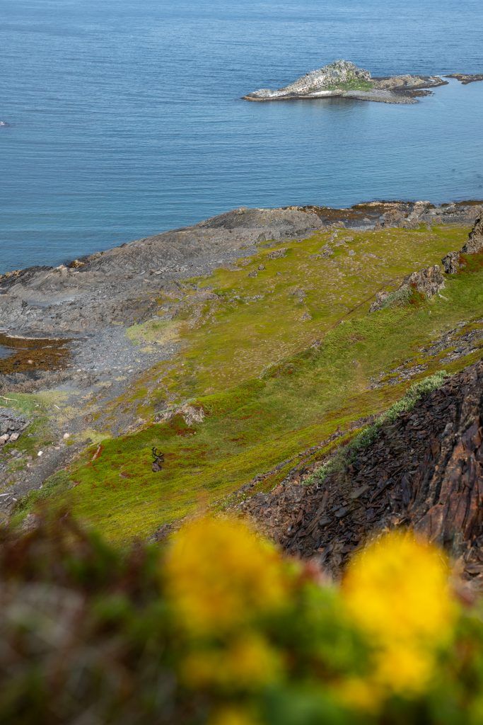 Wanderung über die Veines-Halbinsel bei Kongsfjord