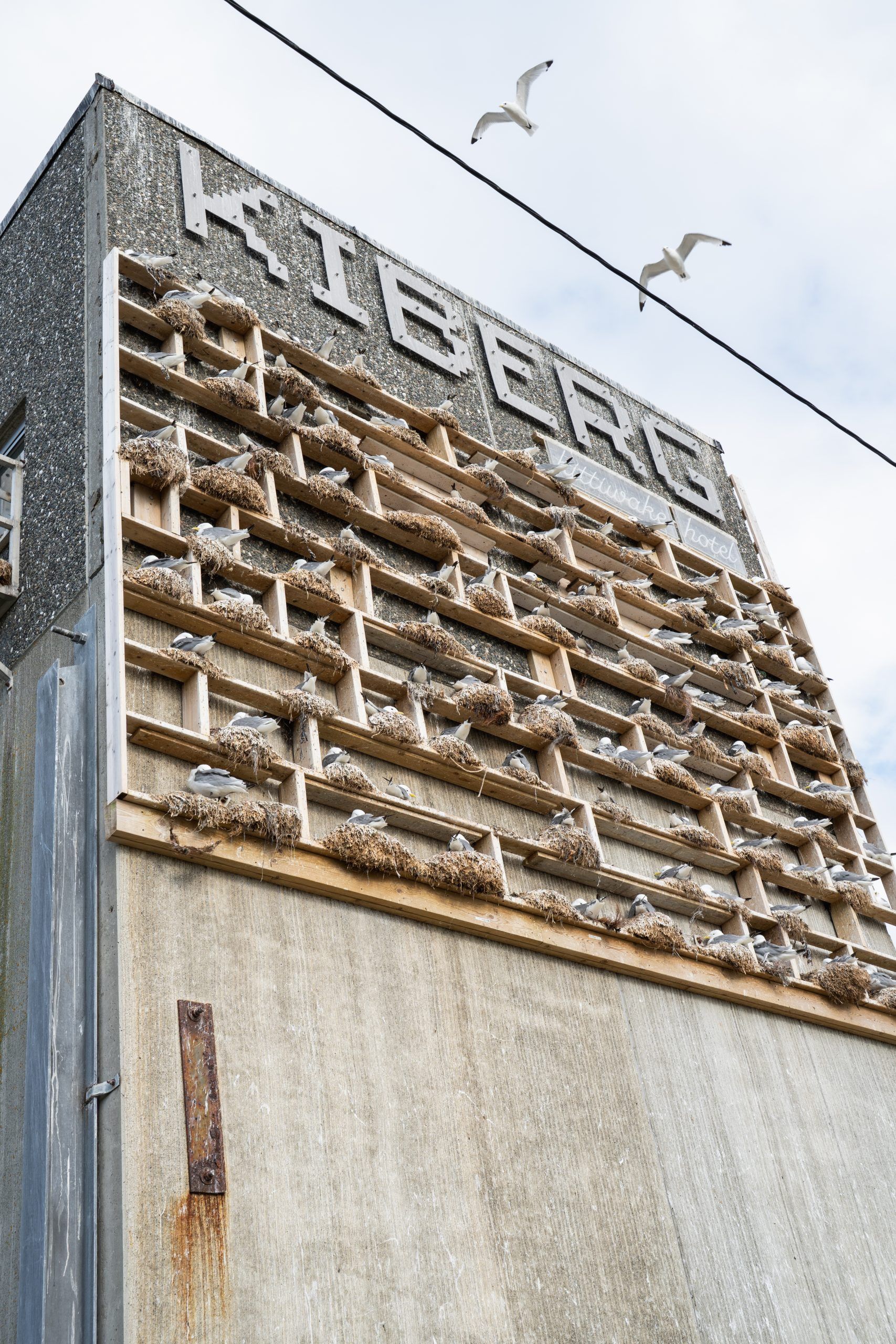 Kiberg Möwenhotel Varanger Nordnorwegen