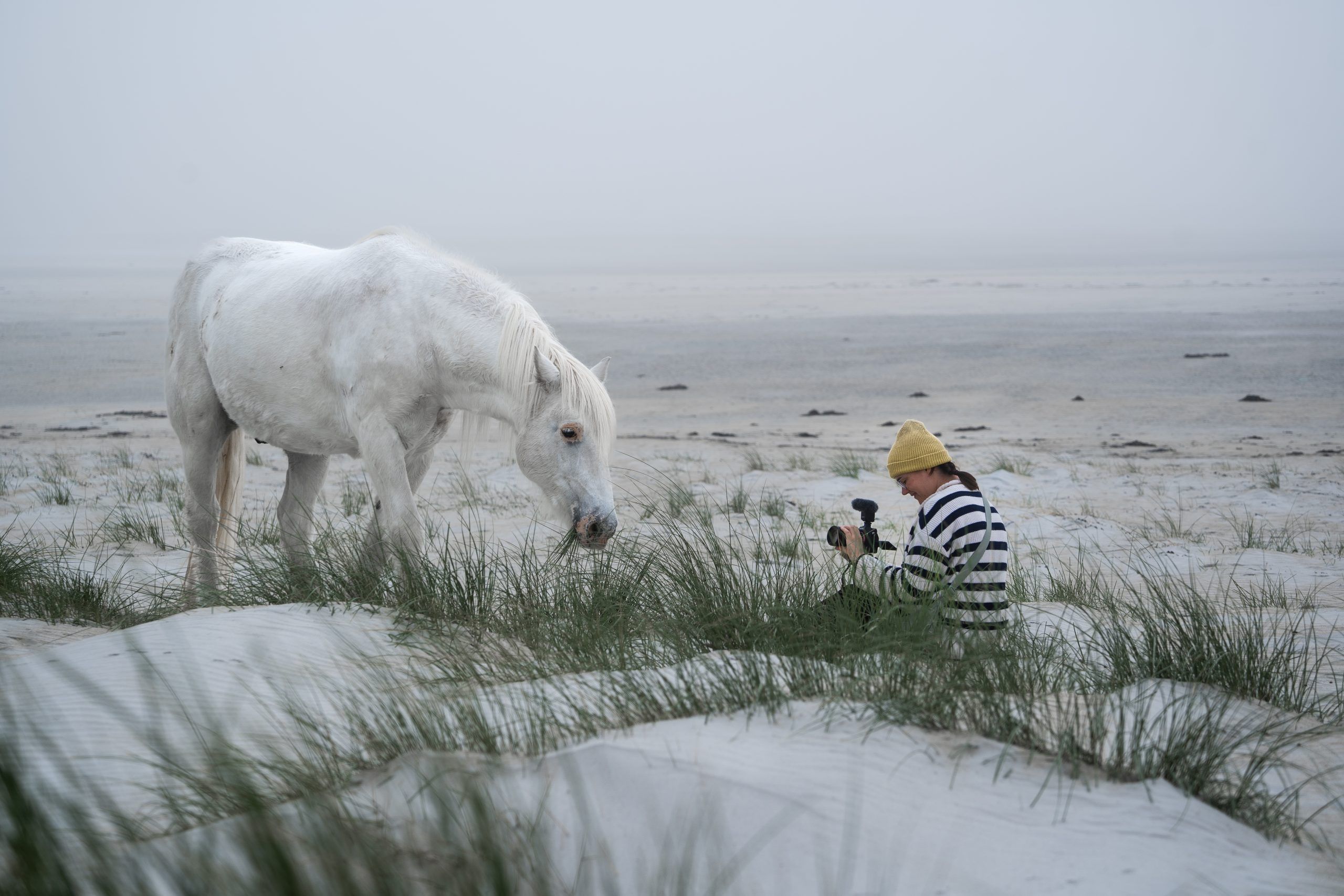 Pony Tobi am Luskentyre Beach Isle of Harris & Lewis Highlight