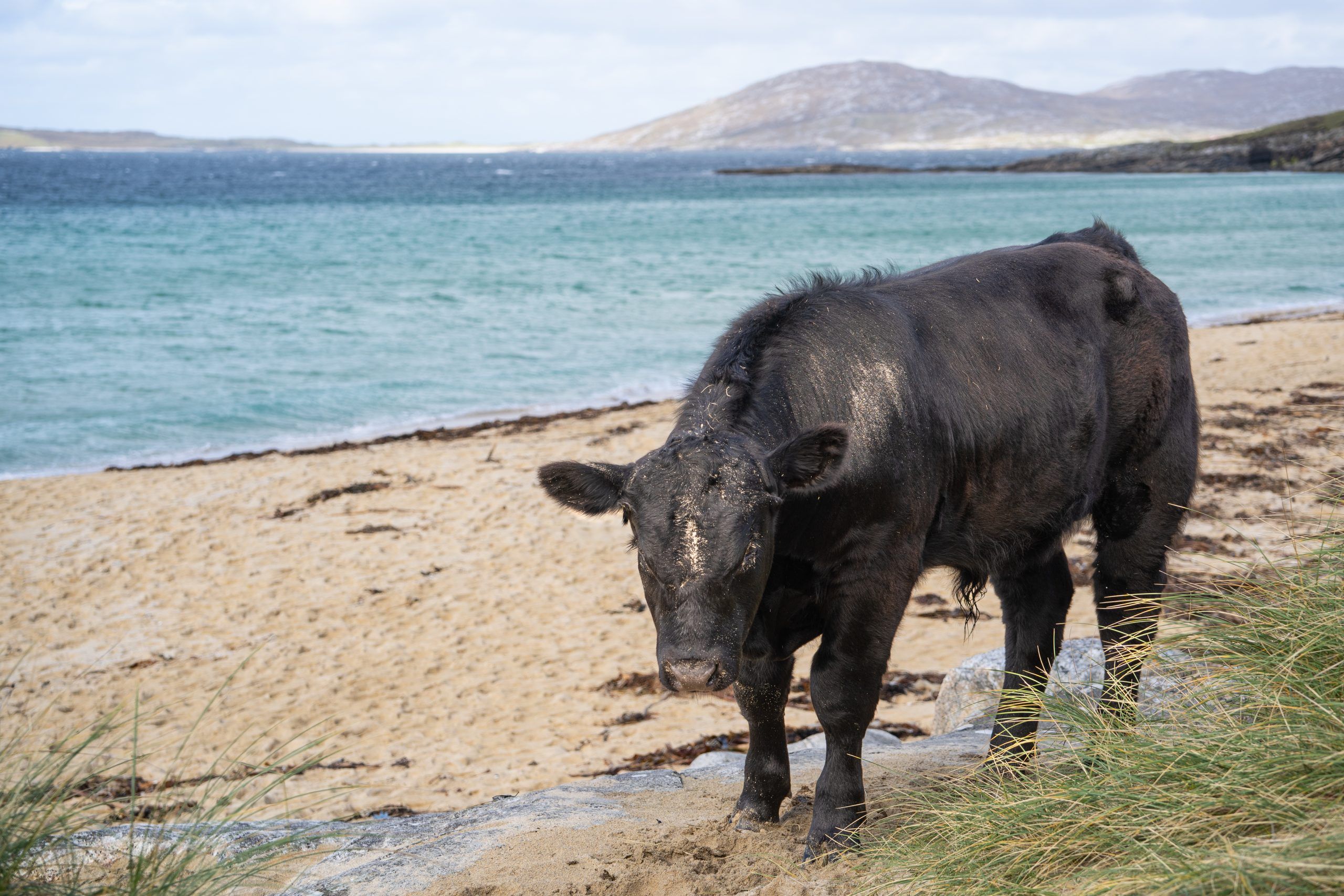 Seilebost Beach Isle of Harris in Schottland
