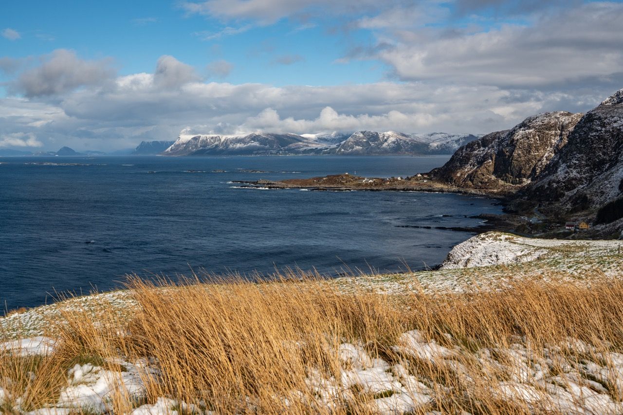 Vogelinsel Runde-Puffins-Papageientaucher-Westküste Fjorde-Camping