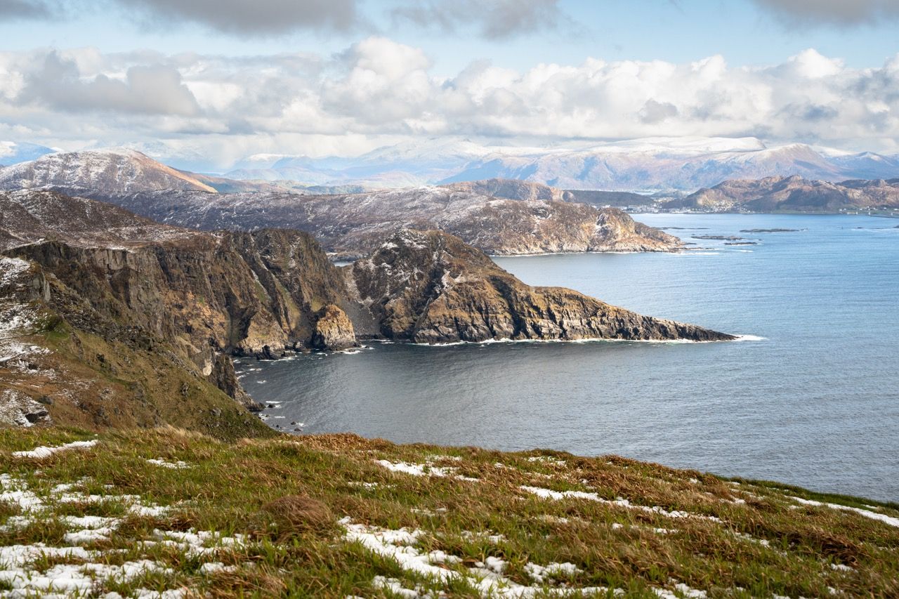 Vogelinsel Runde-Puffins-Papageientaucher-Westküste Fjorde Norwegen4
