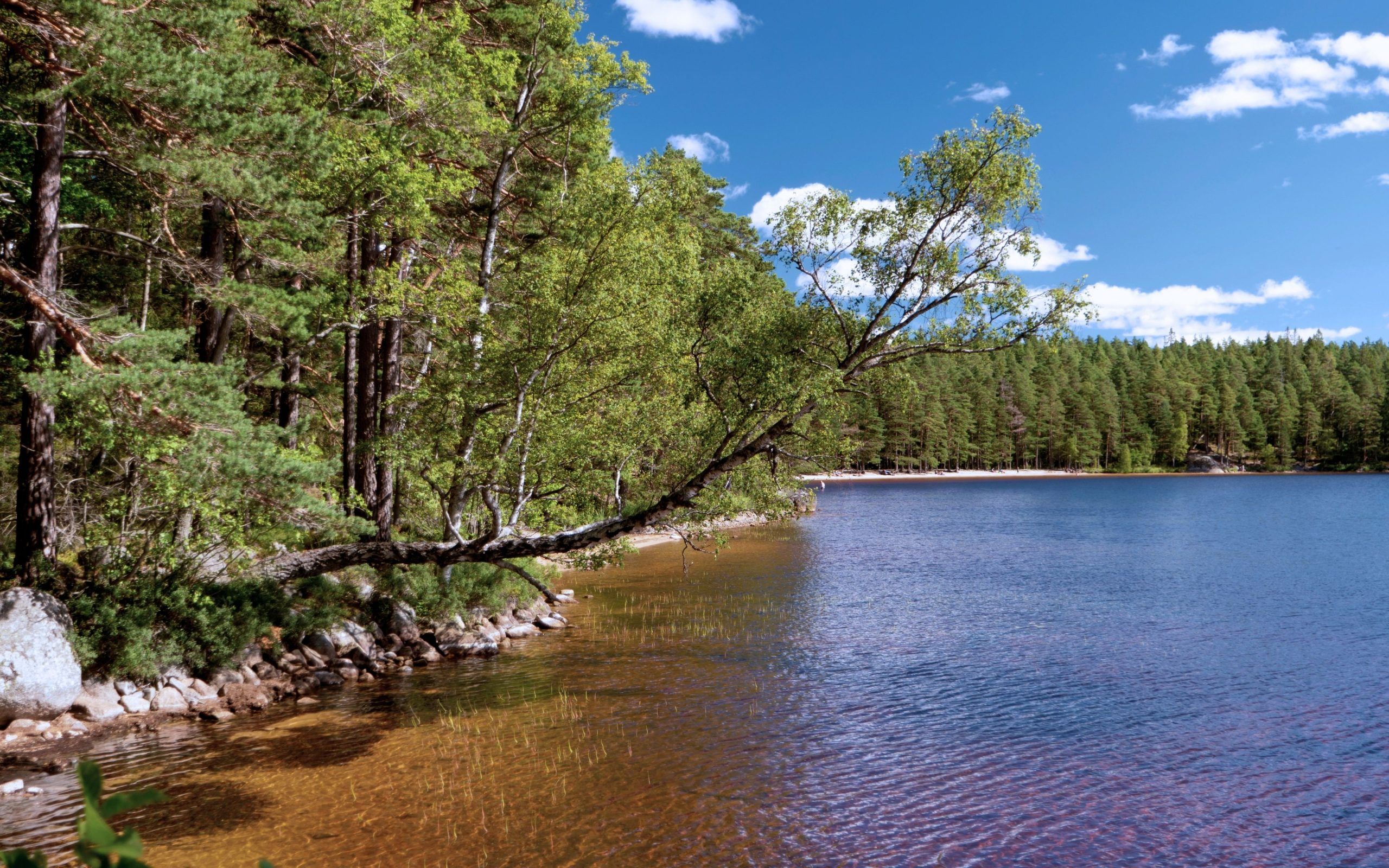 Tiveden Nationalpark Südschweden Rundreise für Familien
