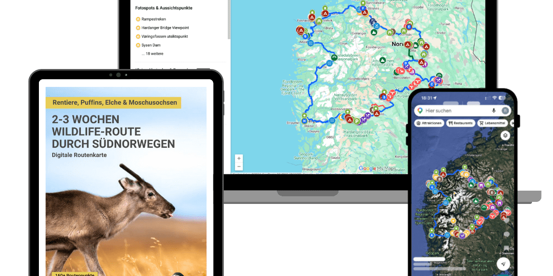 Mockup_Digitale Routenkarte_2-3 Wochen Wildlife & Naturhighlights Südnorwegen