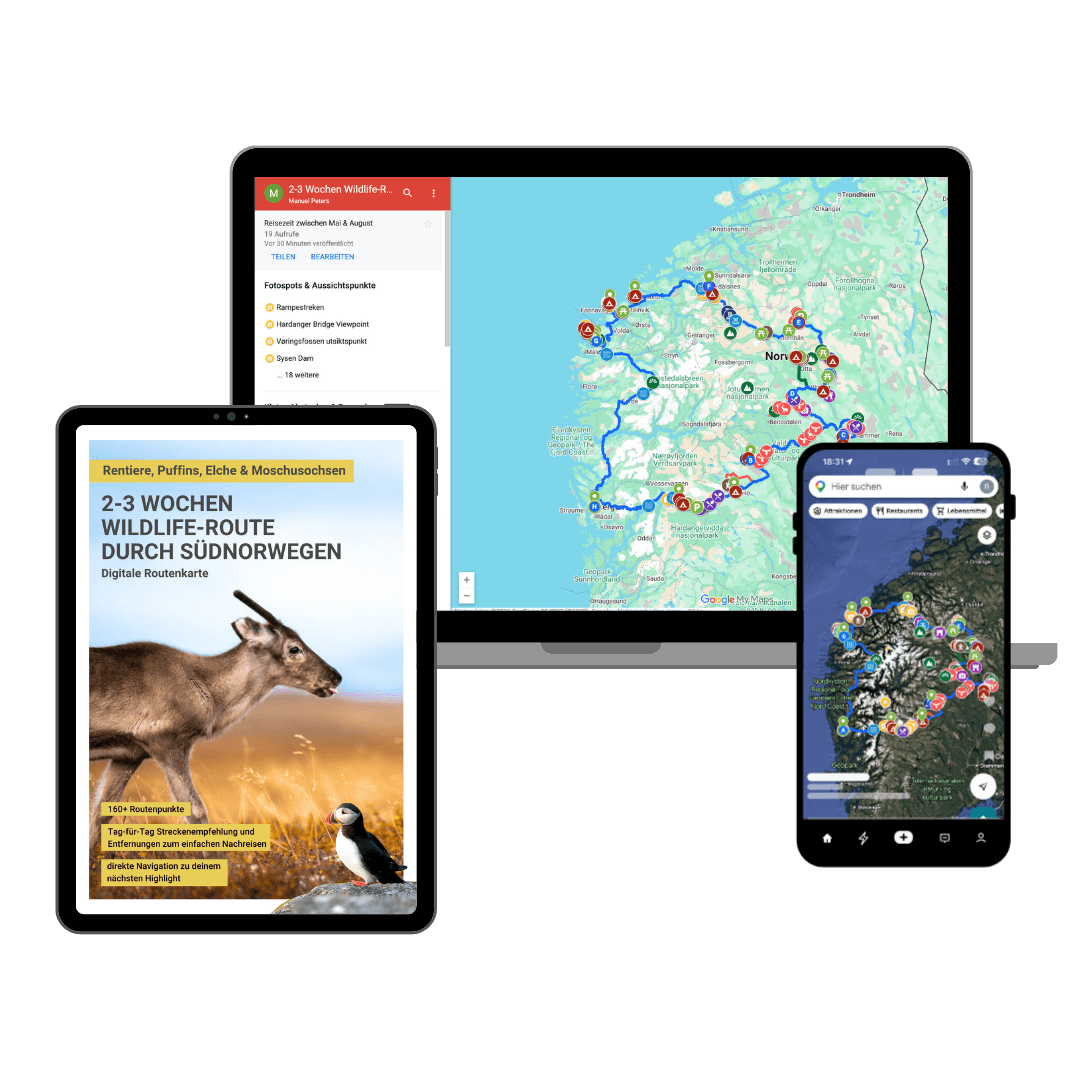 Digitale Norwegen-Karte